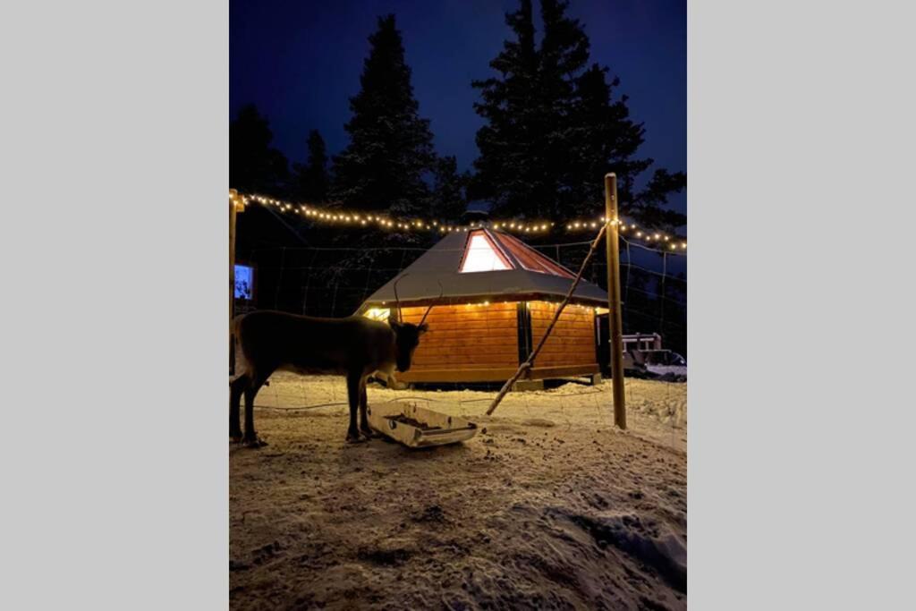 Northernlight Cabin Kiruna Exterior photo